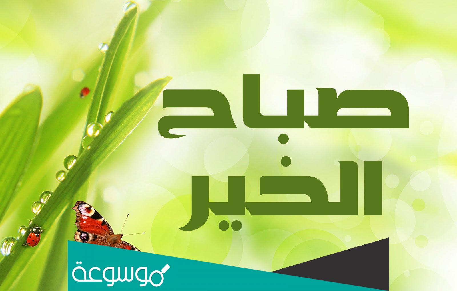 اذا احد قال صباح الخير وش ارد، الرد على صباح الخير