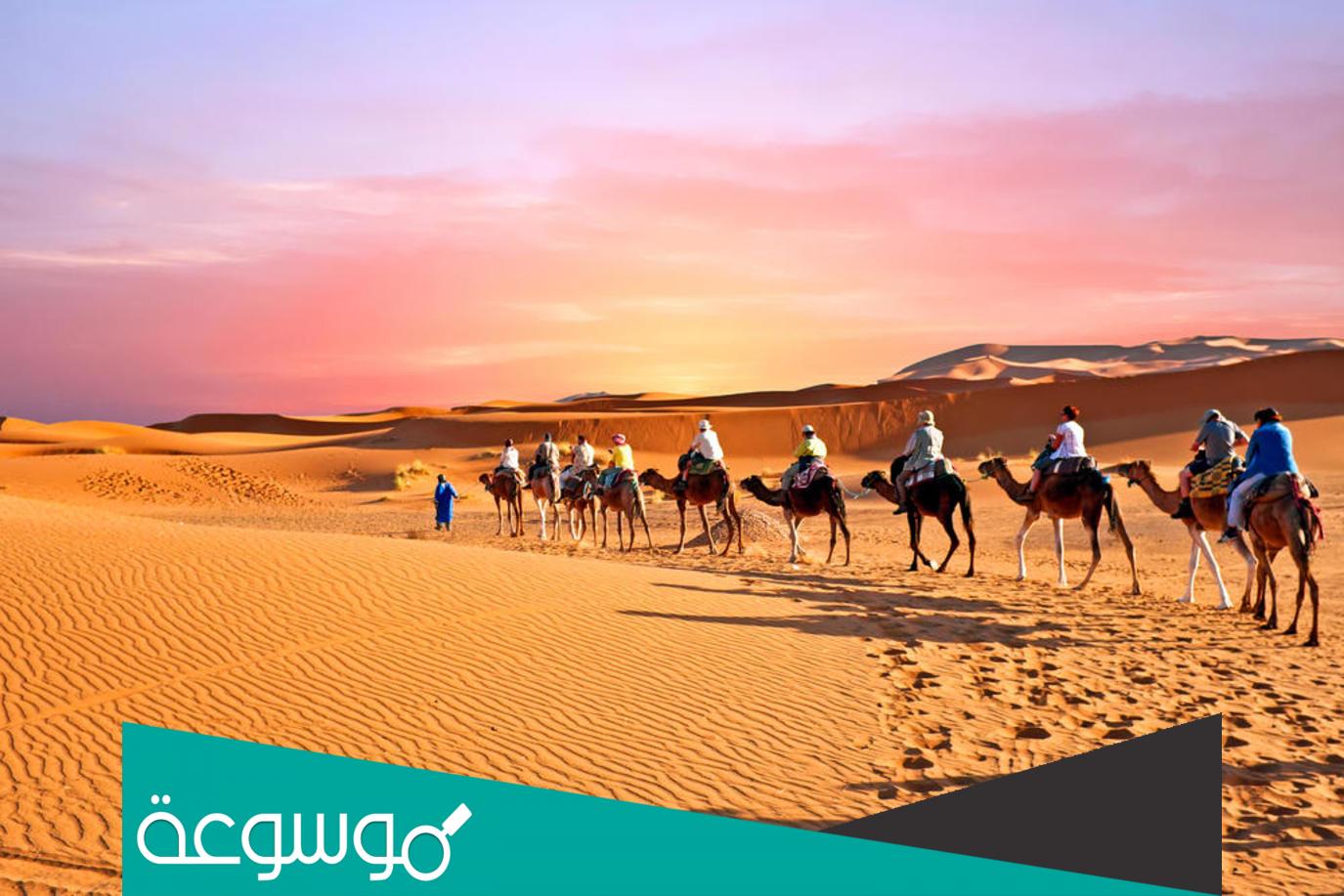 اصل عائلة البراهيم، البراهيم وش يرجعون