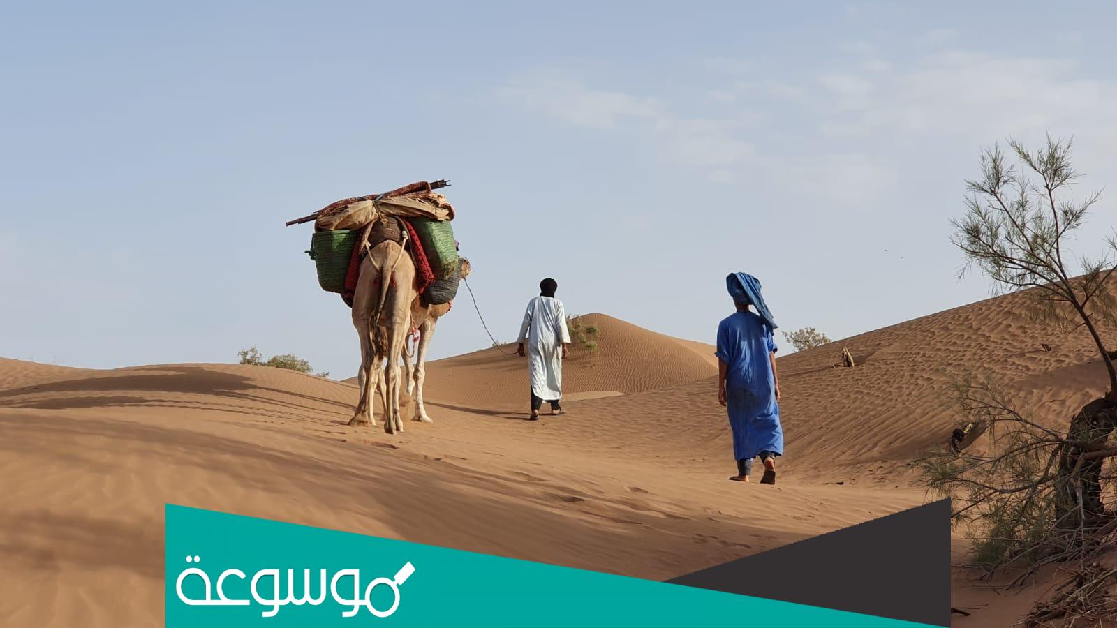 اصل عائلة حسان في الاردن