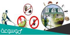افضل شركة مكافحة حشرات بجدة