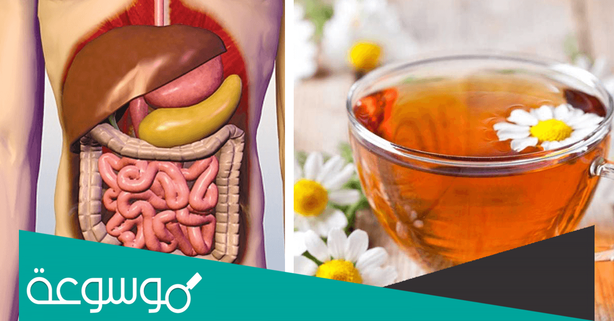 افضل علاج لمرض القولون العصبي