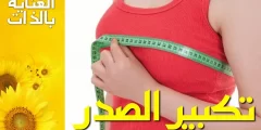 افضل كريم تكبير الثدي من العطار