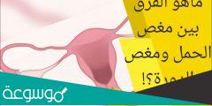 الفرق بين مغص الدورة ومغص الحمل