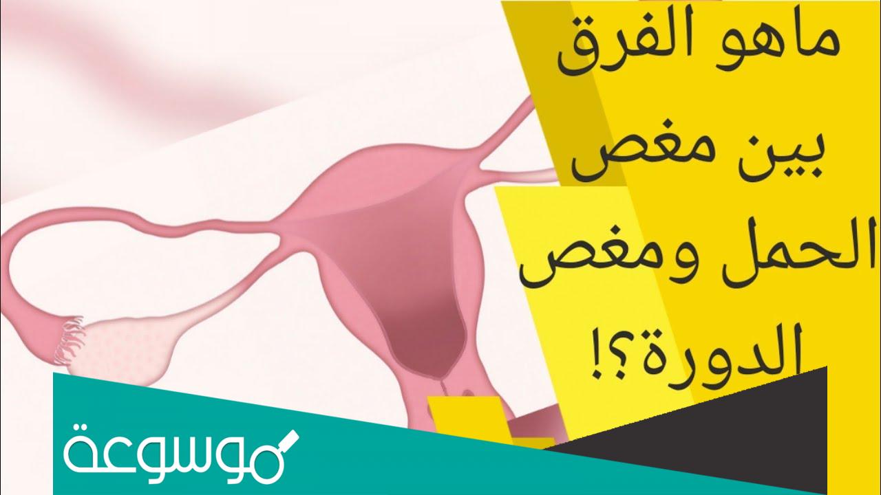 الفرق بين مغص الدورة ومغص الحمل