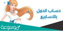 برنامج حساب الحمل بالاسابيع بالعربي مجانا