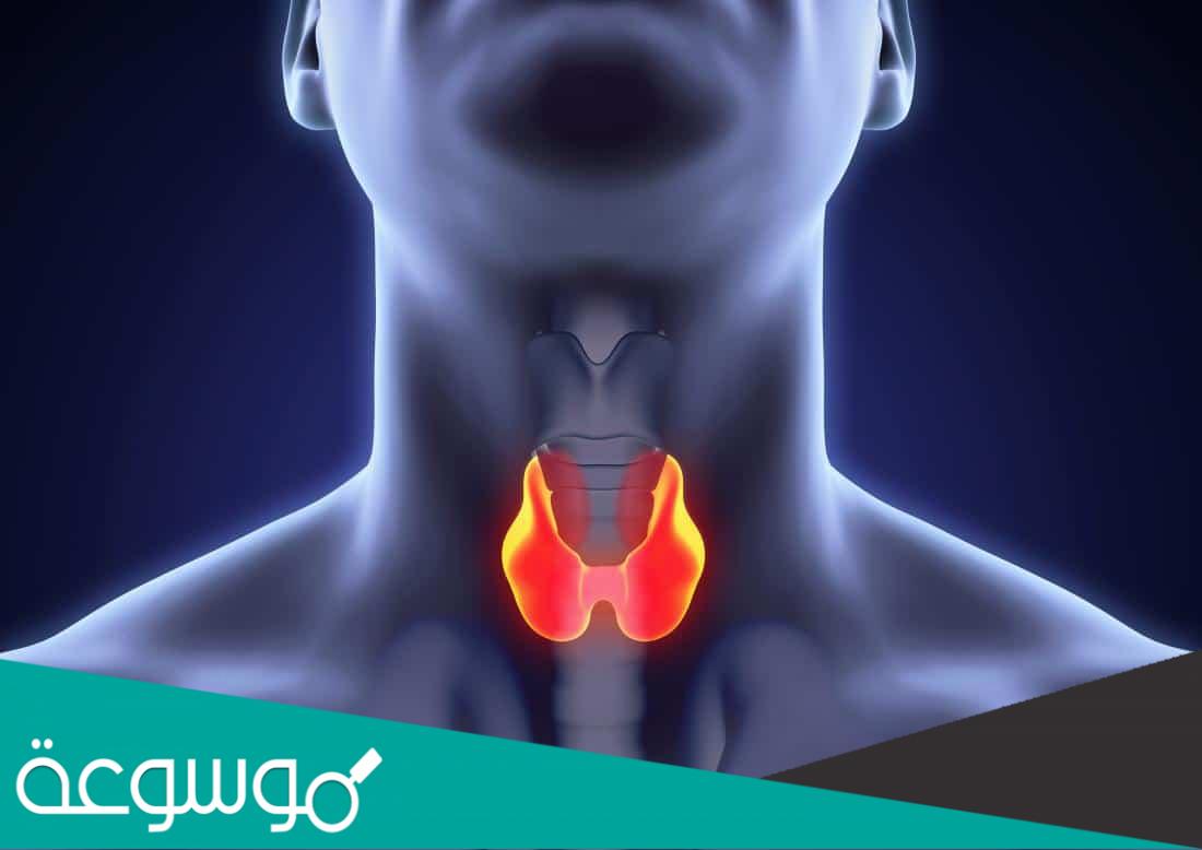 تجربتي مع خمول الغدة الدرقية