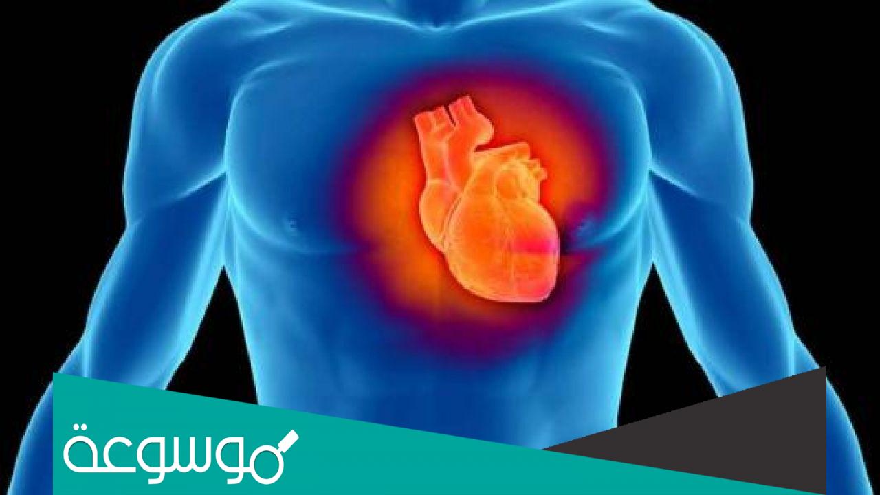 تجربتي مع ضعف عضلة القلب مضمونه