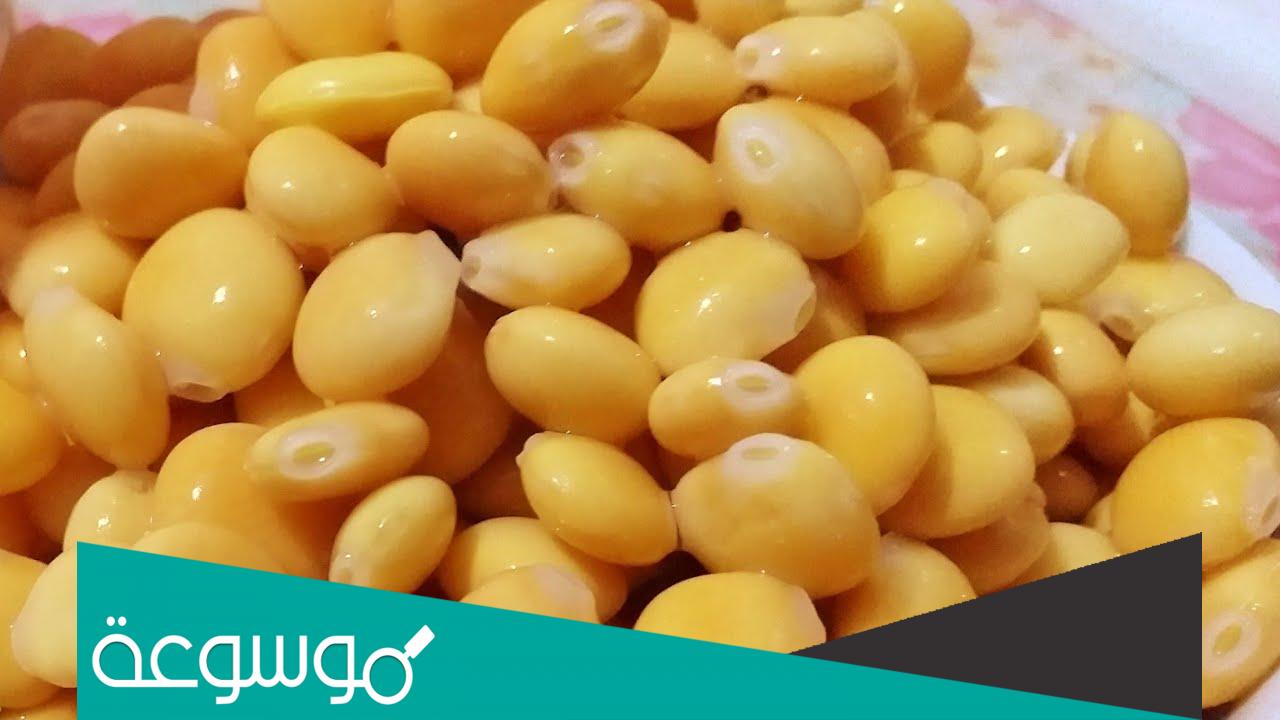 تفسير رؤية إعطاء الميت ترمس في المنام