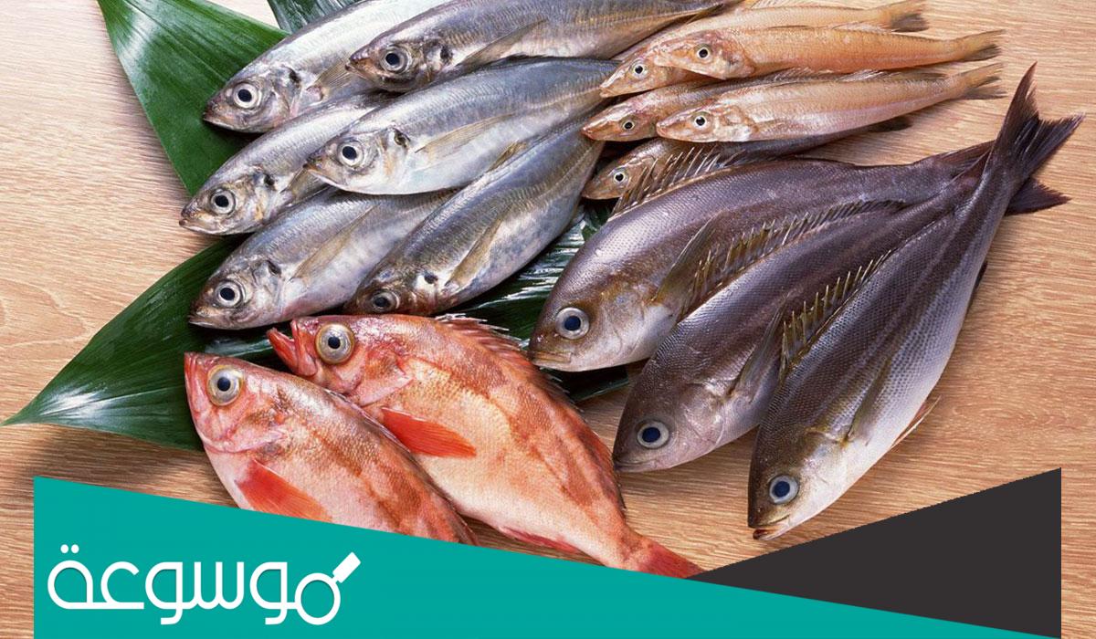 تفسير رؤية الفسيخ الفاسد في المنام