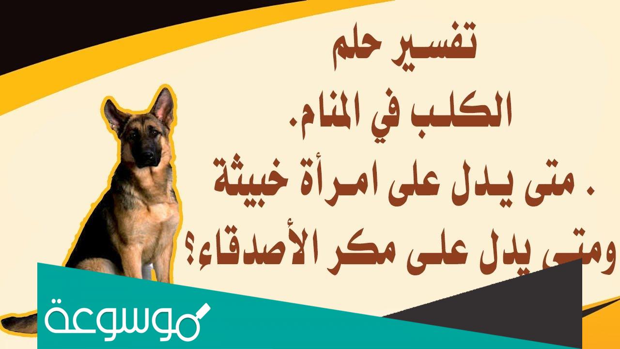 حلمت اني رأيت كلب يقرأ قرآن في المنام