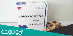 دواعي استعمال دواء amoxicillin 500mg