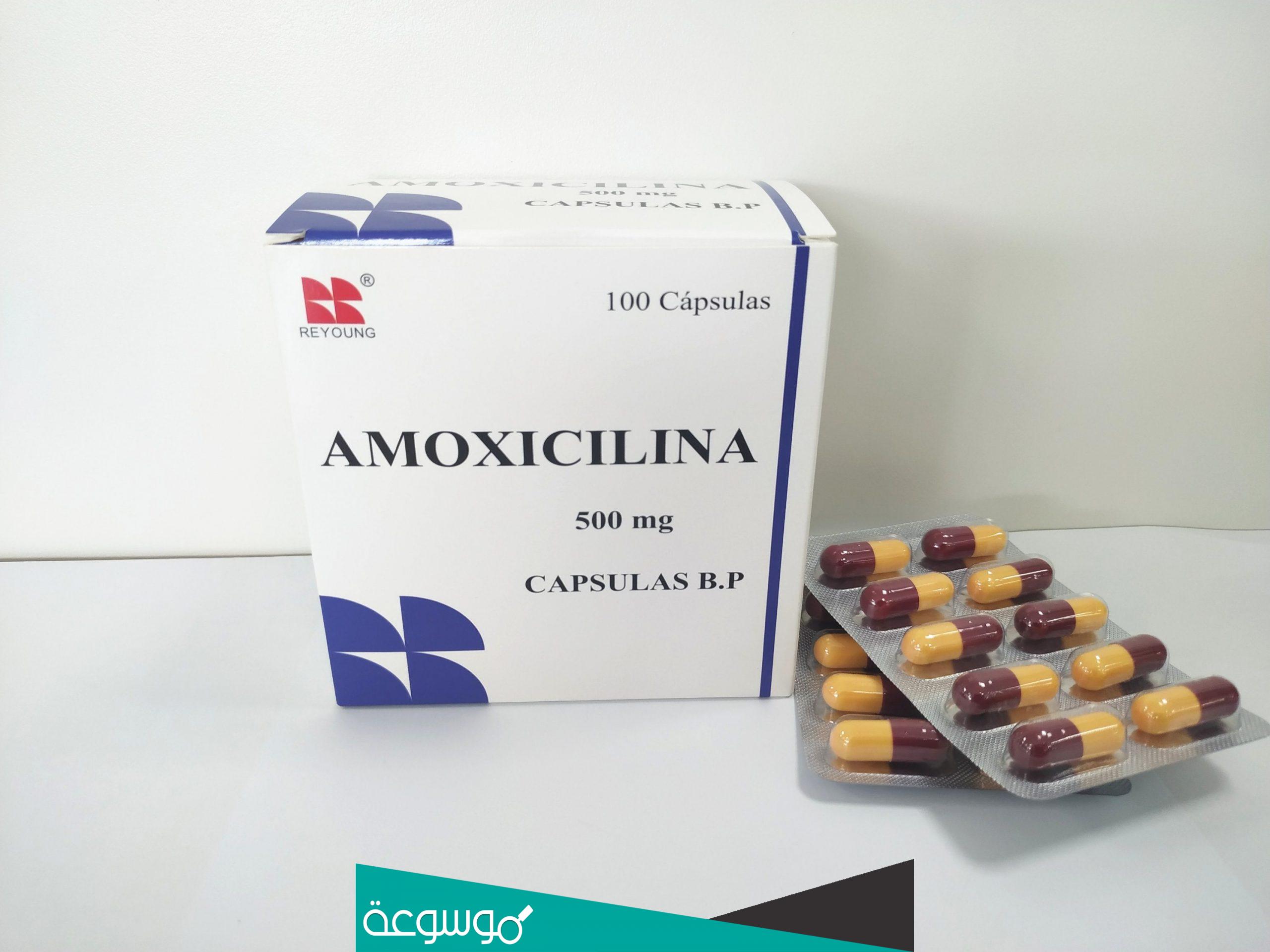 دواعي استعمال دواء amoxicillin 500mg