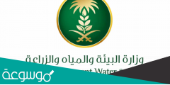 رابط بوابة التوظيف الالكتروني وزارة البيئة والمياه والزراعة