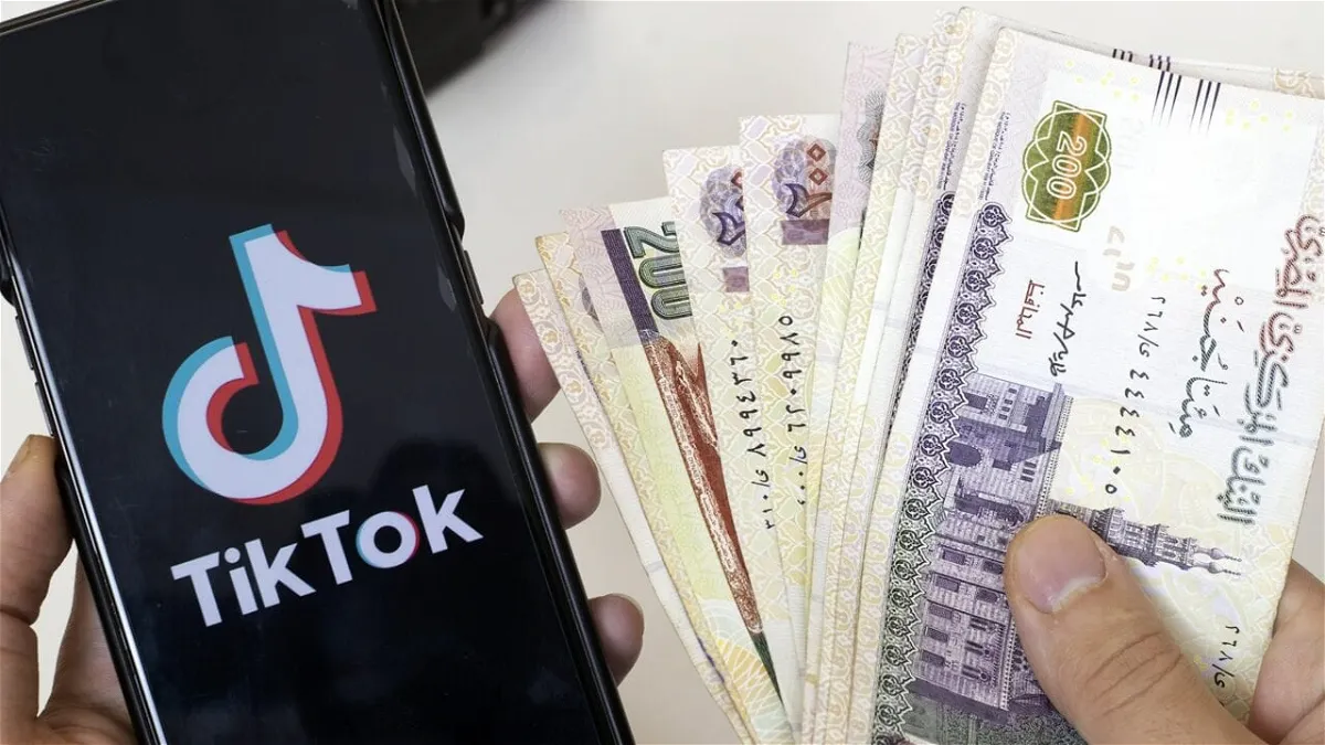 كم عدد المتابعين للربح من التيك توك