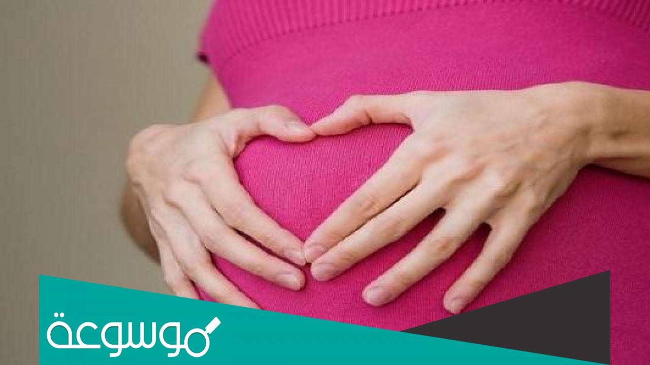 شكل افرازات الحمل