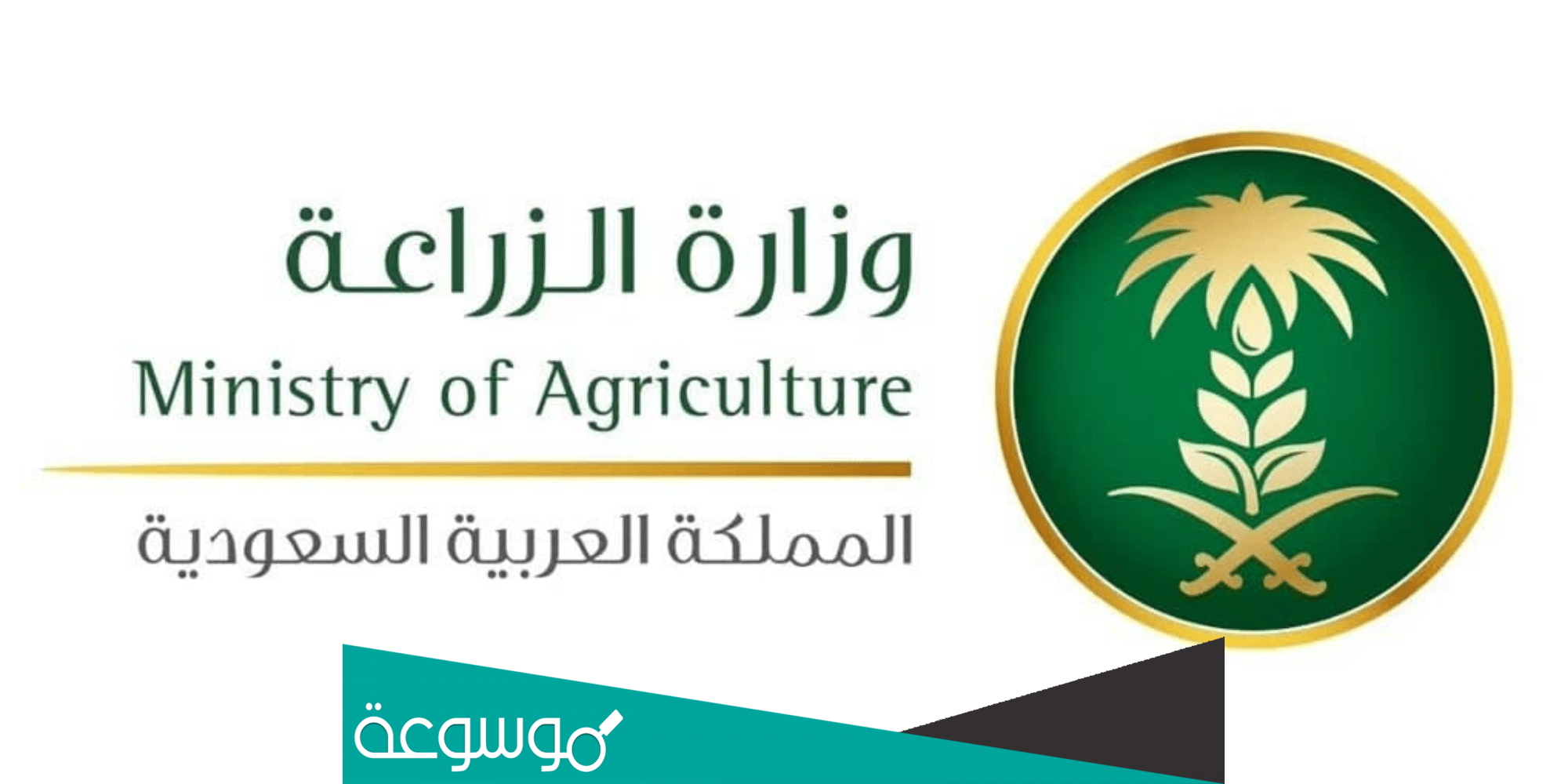 طريقة التقديم على برنامج دعم المواشي