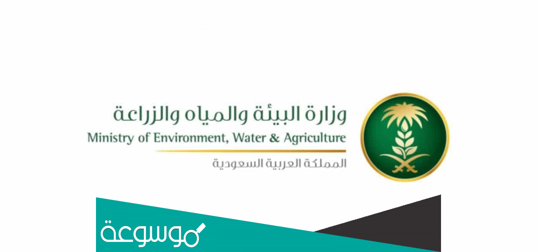 طريقة التقديم على وظائف وزارة البيئة والمياه والزراعة 1444