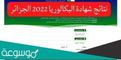 ” ظهرت ” كشف اسماء النتائج بالرقم السري لشهادة التعليم المتوسط 2022