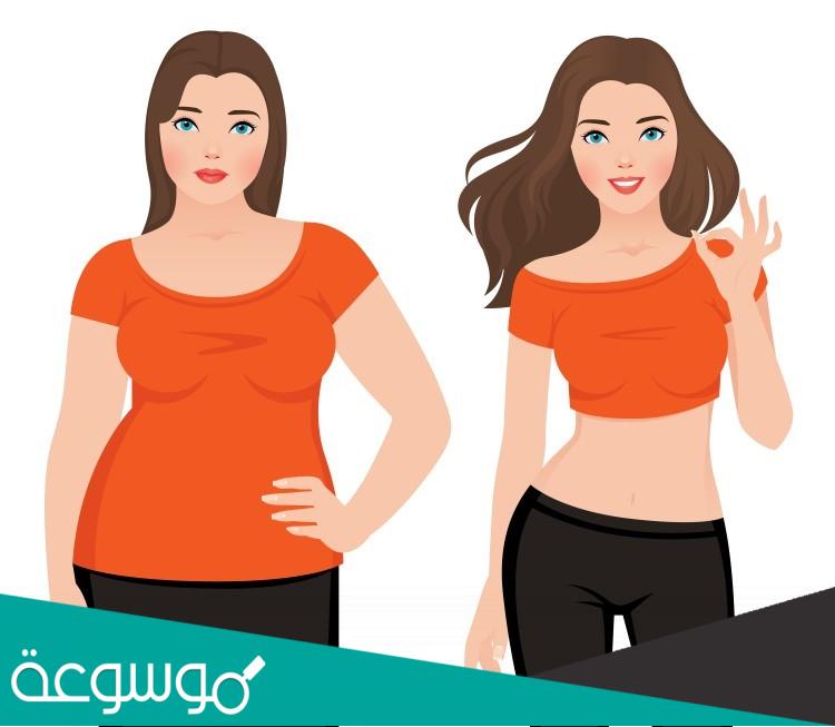 فيلا شيب الاستخدامات والميزات والتكلفة