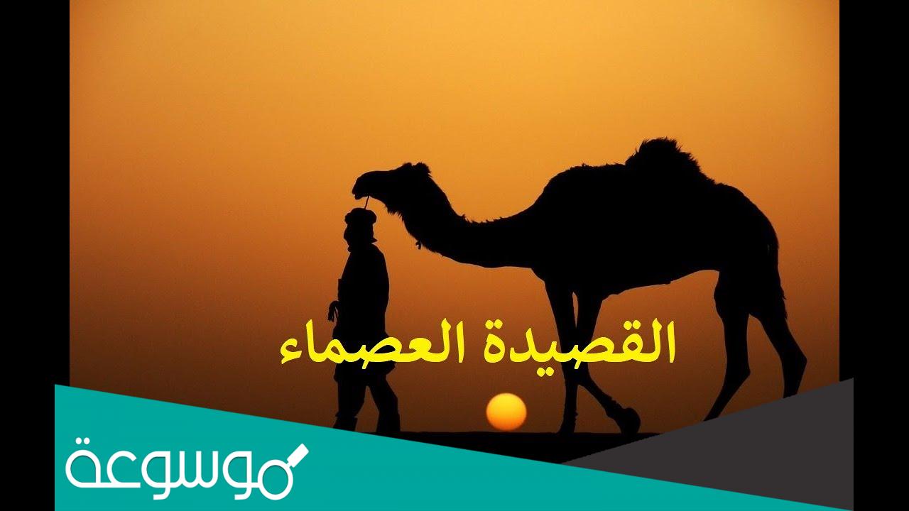 قصيدة العصماء لعلي بن ابي طالب