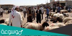 كم سعر الاضحية في العراق 2022