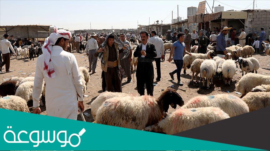 كم سعر الاضحية في العراق 2022