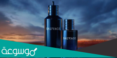 كم سعر عطر ديور سوفاج الجديد