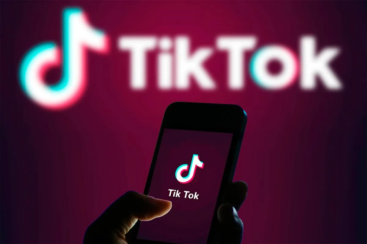 كم عدد المتابعين للربح من التيك توك .