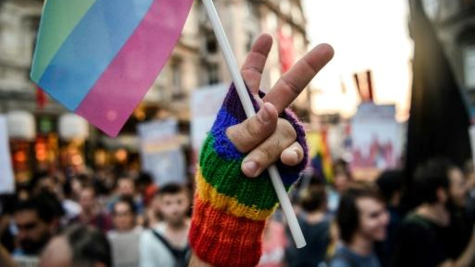 كم عدد المثليين في المغرب