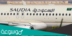 كم عدد ركاب الطائرة السعودية