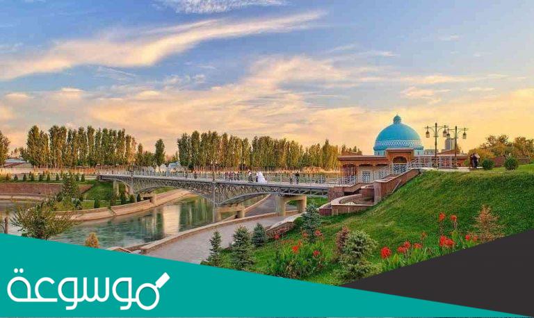 كم عدد واسماء أندية أوزبكستان