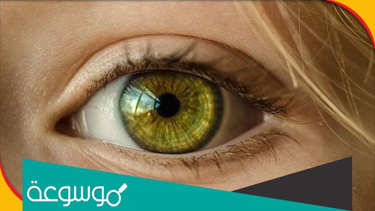 كم نسبة لون العيون في العالم