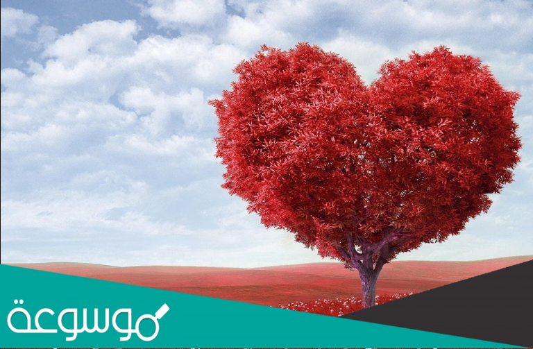 كيف أعرف ان شخص يختبرني اختبار هل يحبني