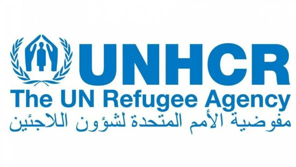 كيفية معرفة حالة الملف un في مصر 2022