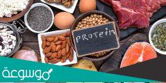ما أضرار تناول البروتين بدون رياضة