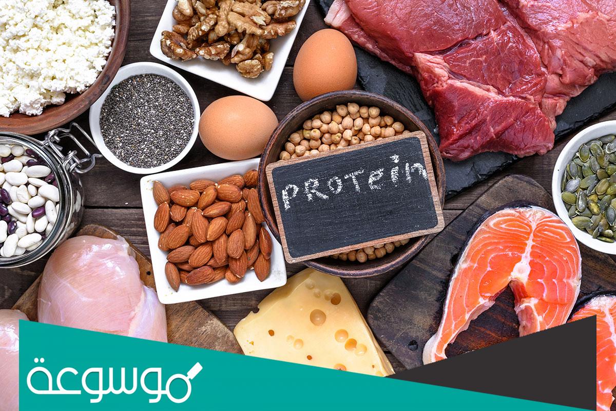 ما أضرار تناول البروتين بدون رياضة