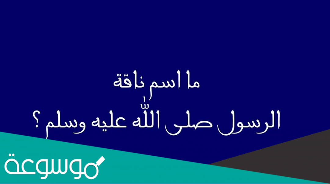 ما اسم ناقة النبي صلى الله عليه وسلم