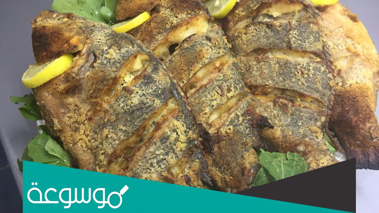 ما افضل أنواع السمك للقلي 2022