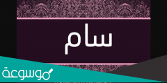 ما معنى اسم سام فى الإسلام وفي اللغة الإنجليزية