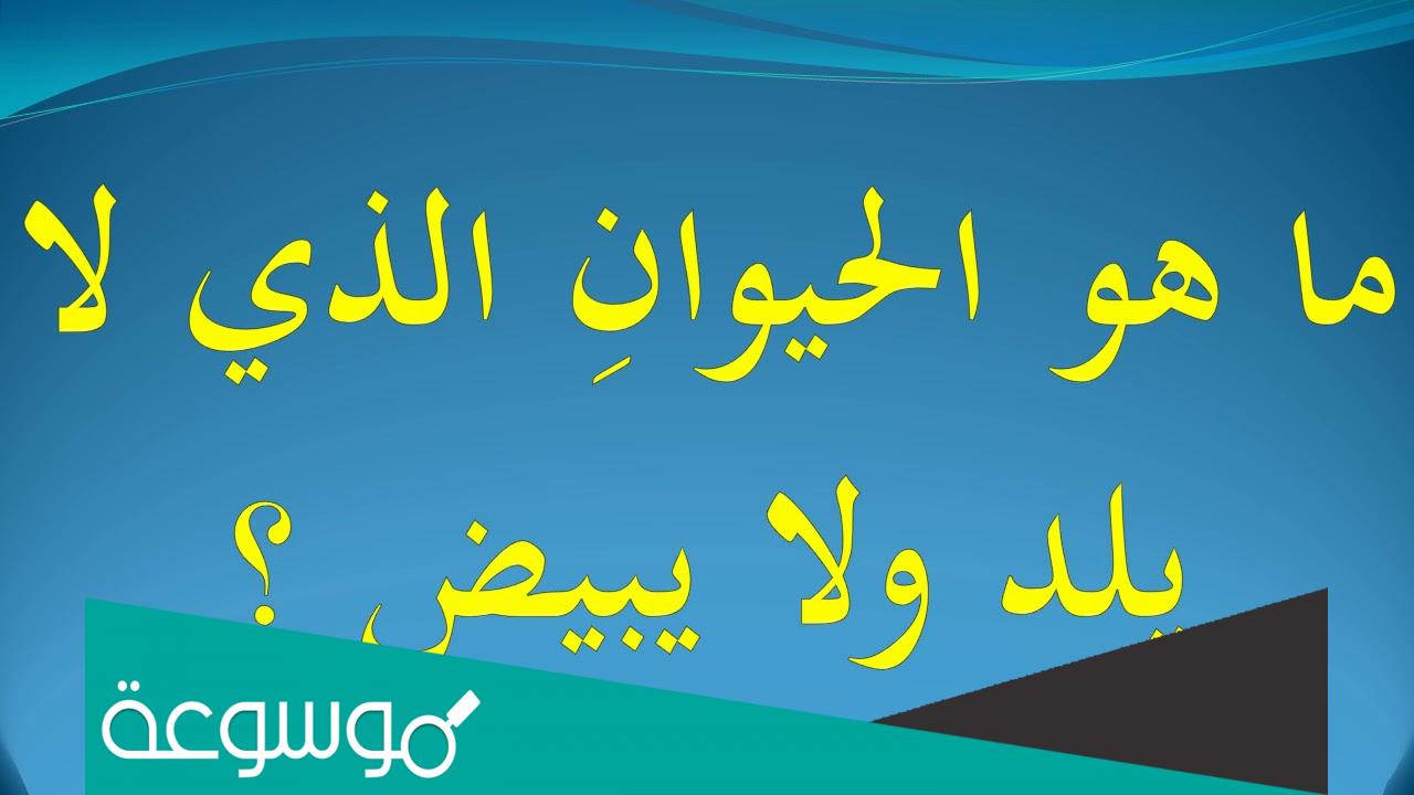 ما هو الحيوان الذي لا يلد