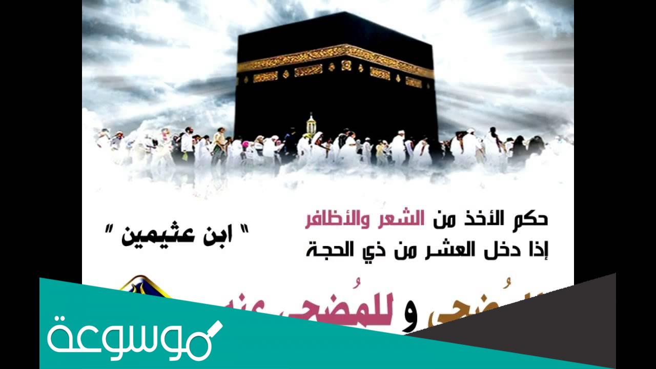ما هو حكم قص الشعر والاظافر للمضحي