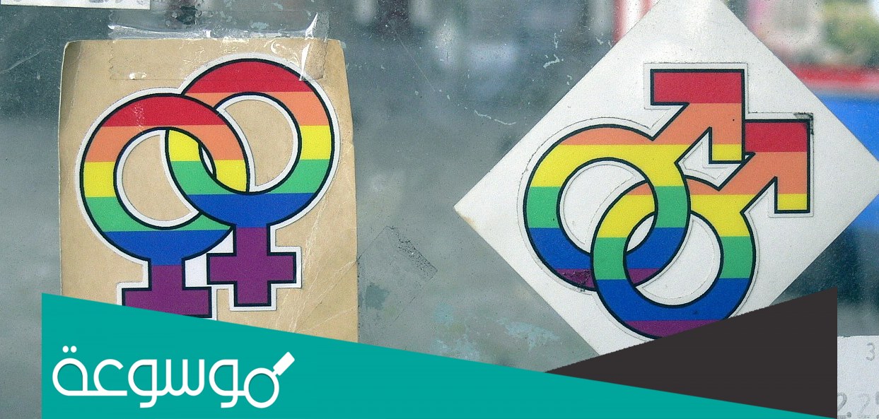 ما هو معنى ليزبيان