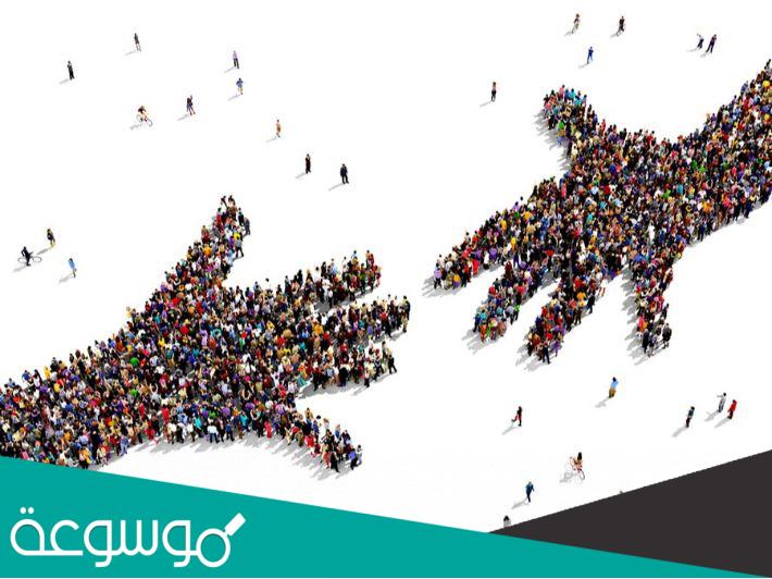 ما هي افضل 5 قصص عن التعاون