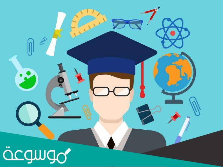 ما هي التخصصات النظرية بالجامعة