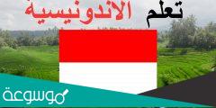 ما هي اللغة الرسميه في اندونيسيا