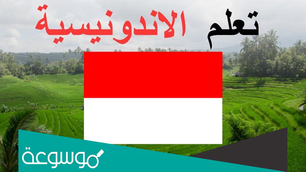 ما هي اللغة الرسميه في اندونيسيا