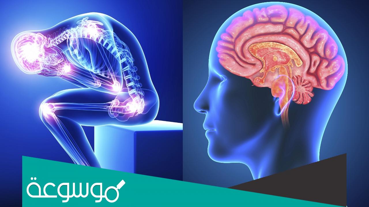 ما هي دواعي استعمال دواء Acupan؟