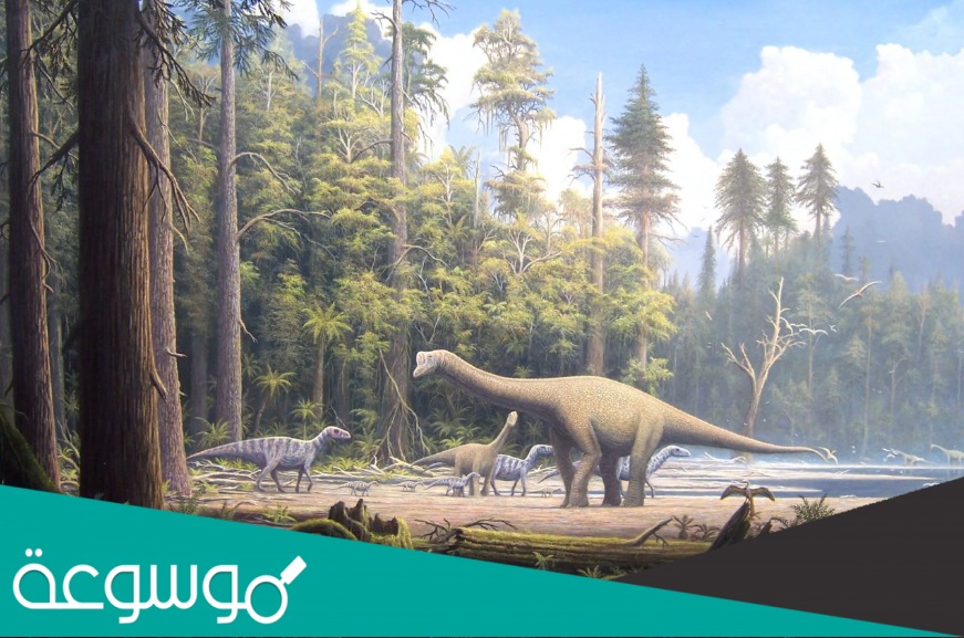 ماذا يطلق على منتصف حقبة الحياة القديمة