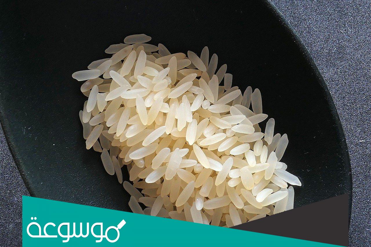 ماهو جمع كلمة رز ؟