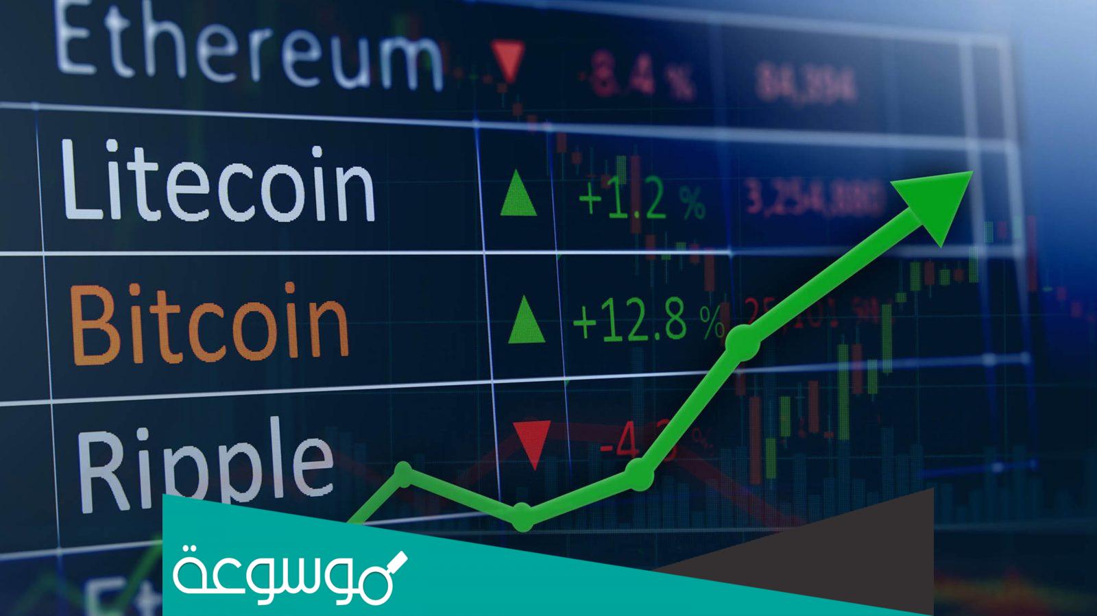 معلومات عن usdttus com ما هو